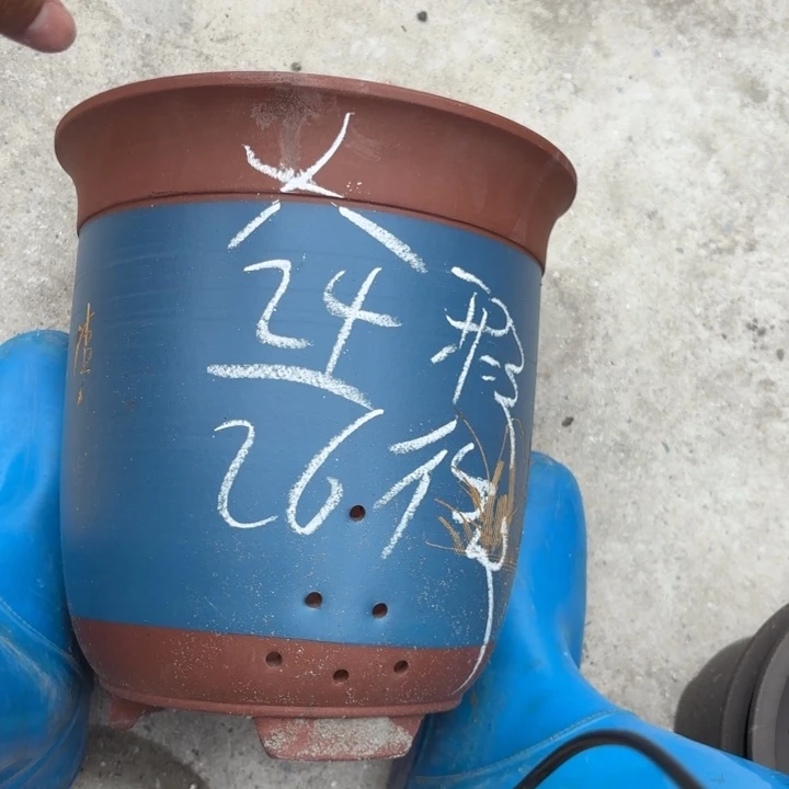 紫砂花盆紫砂的花