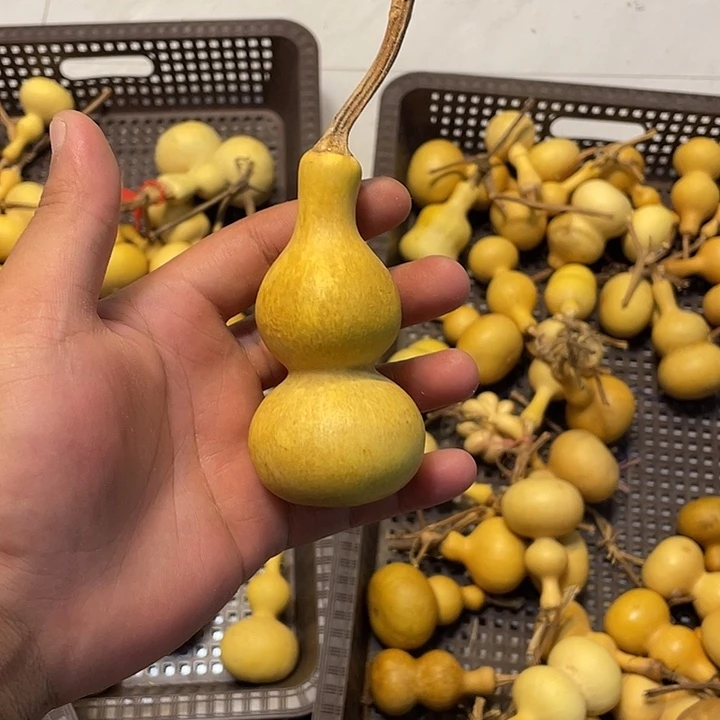 鄠***刘感谢大哥支持兄弟