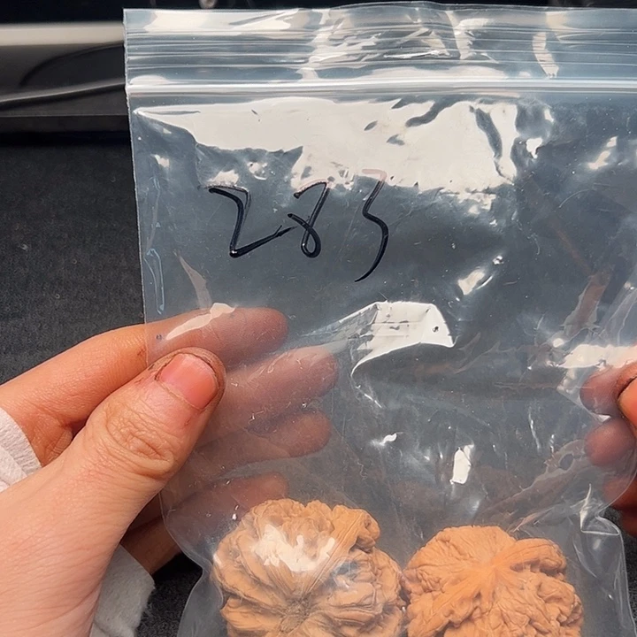 5555555555555555555552555