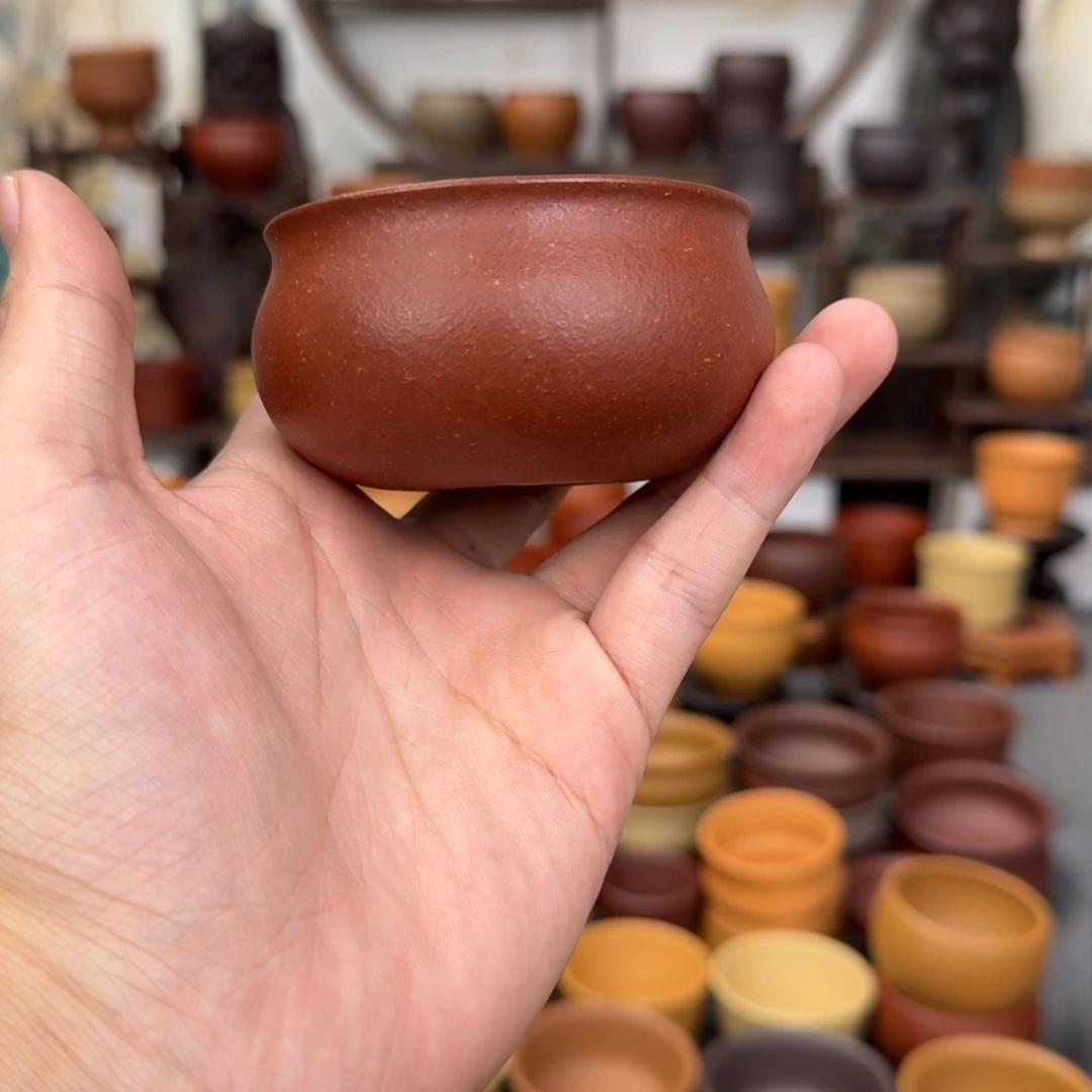 茶杯紫砂54526555554544