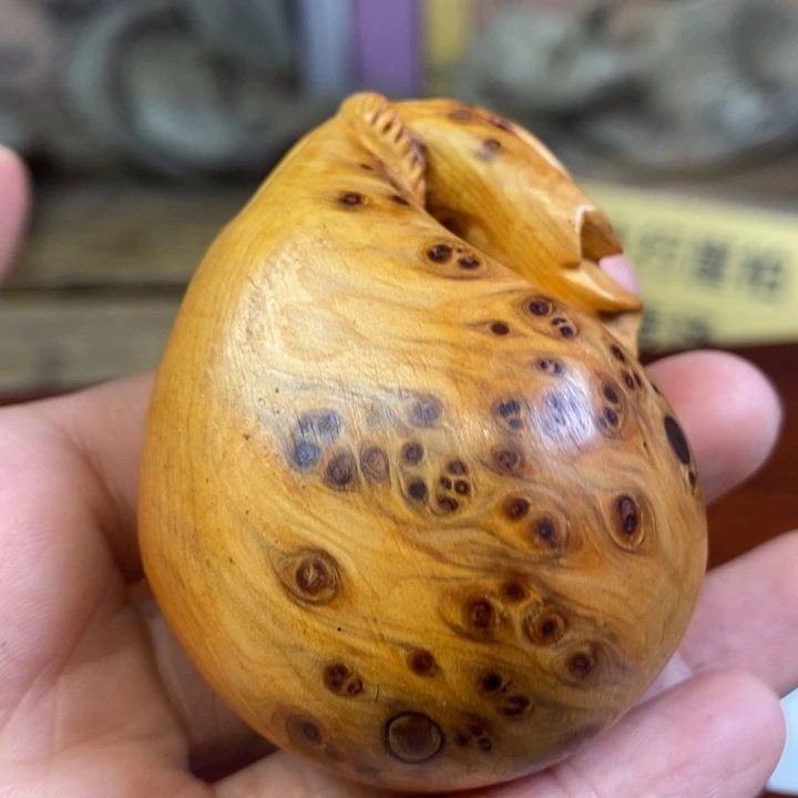 用***8柏木（崖柏）崖柏1111