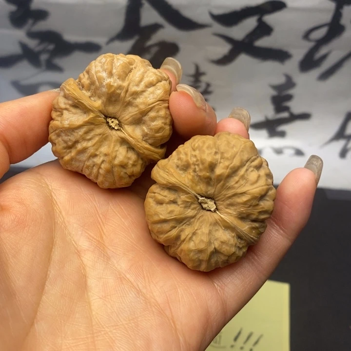 吊坠龙脊菩提20/5对儿随机发