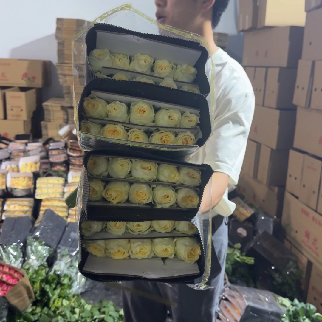 奶油杯2扎包邮价秒杀