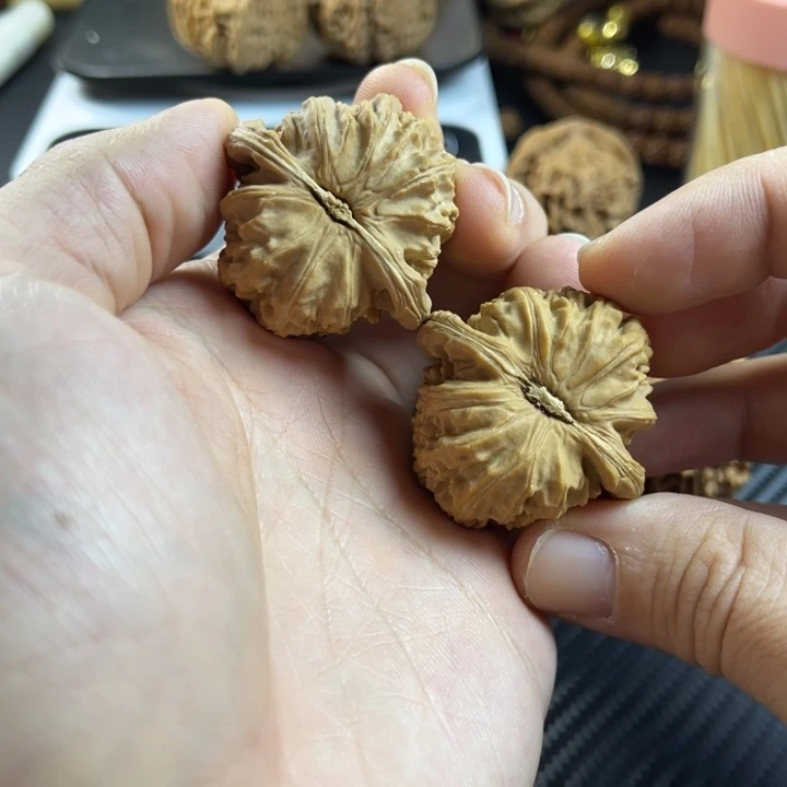 把件文玩核桃40白狮子
