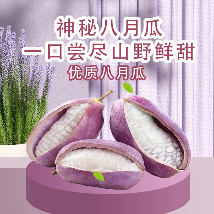 【中陕核传媒自营】新鲜八月瓜当季现摘香甜软糯的稀有水果包邮