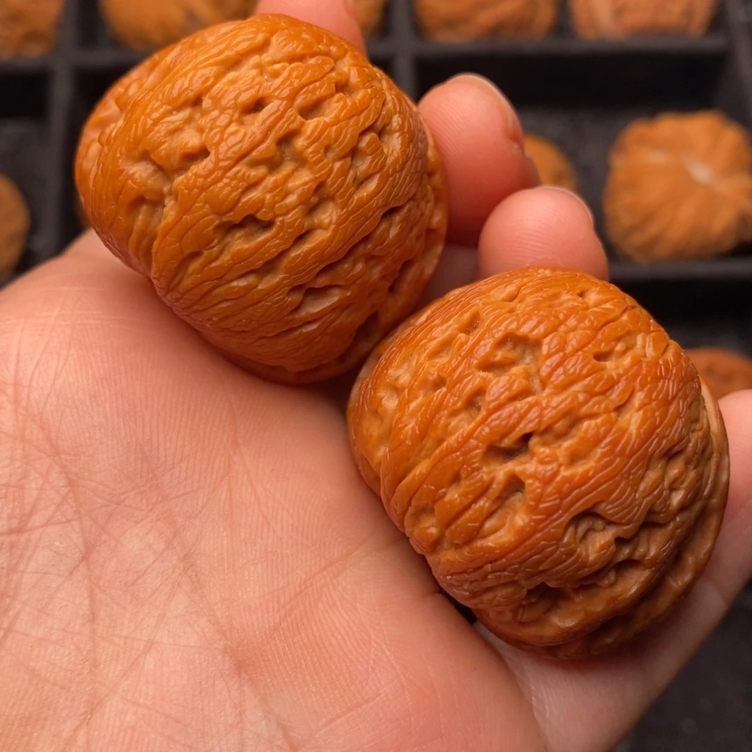 文玩核桃把件秦岭野生核桃