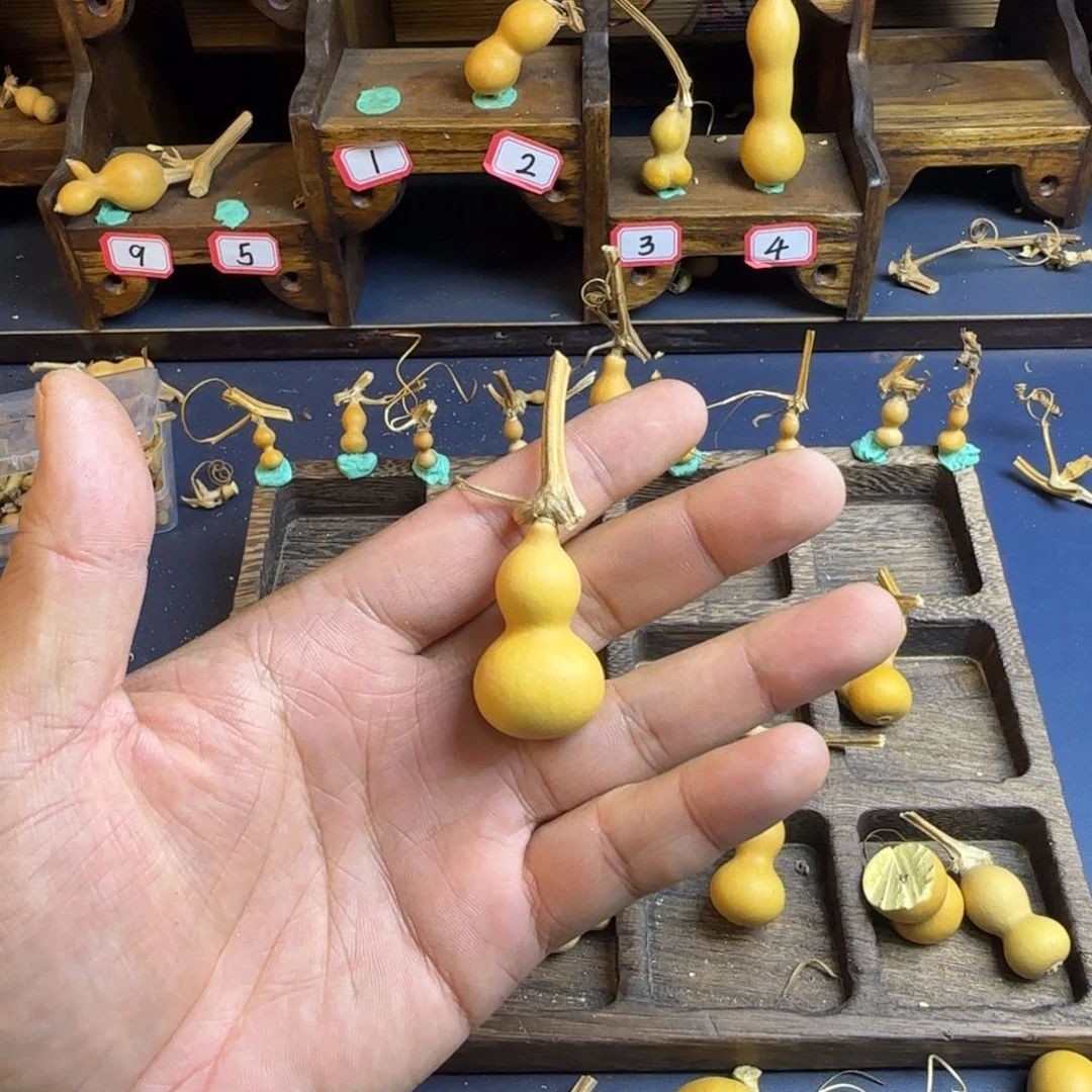 ༺****我也是很喜欢这个节目的呢我们的