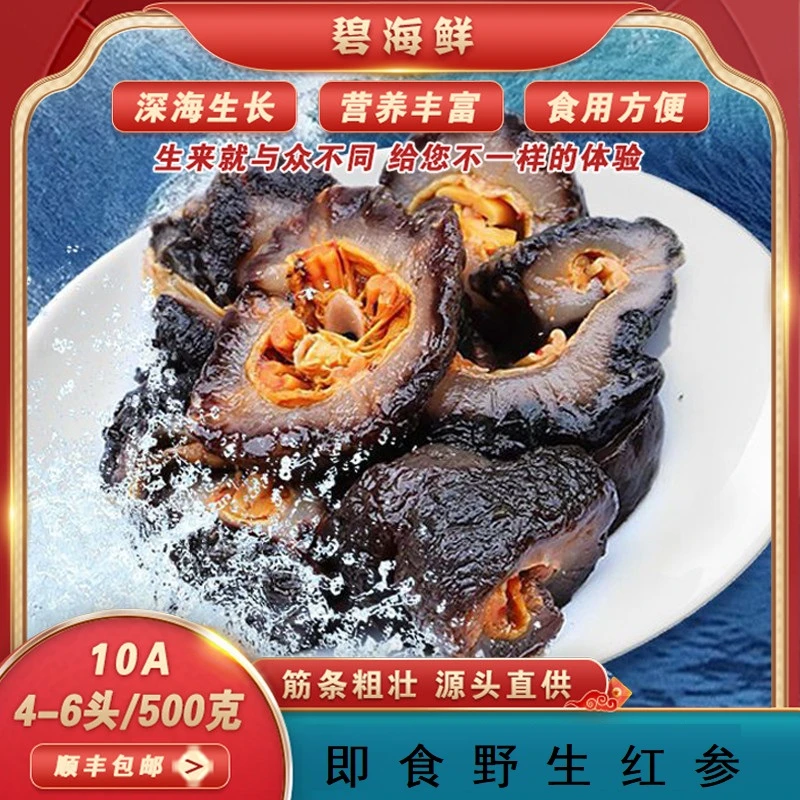 【阿俊推荐】海参500g/包拍一发三包送参鲍汁3包+海螺1个每斤4-6条