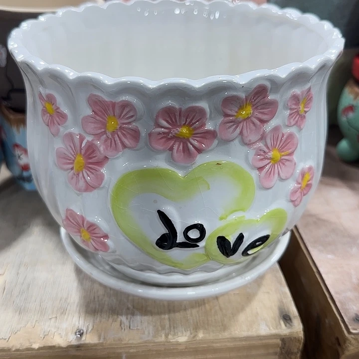 全部花盆福利处理···满10包邮