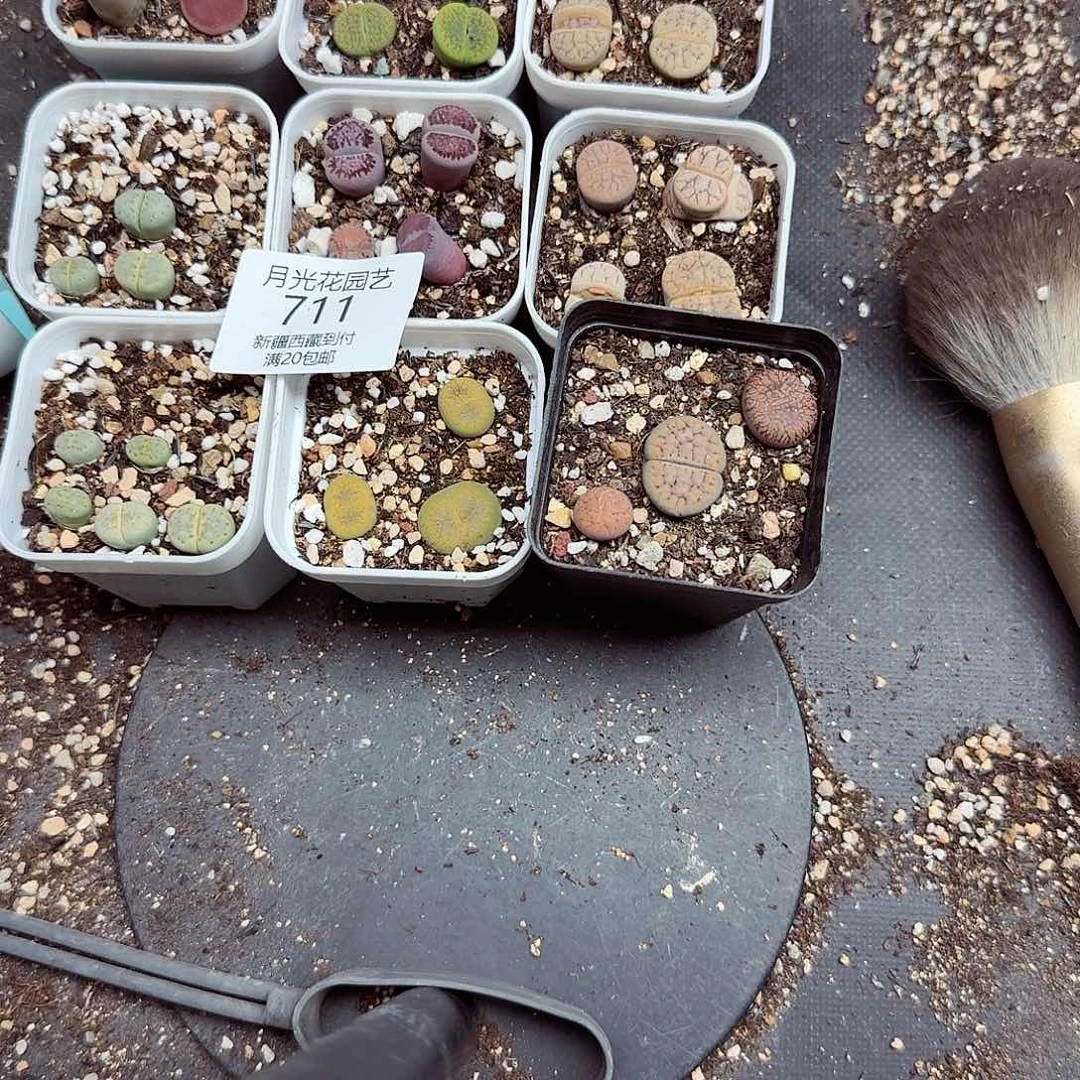 不用我送过去咯的711哈哈