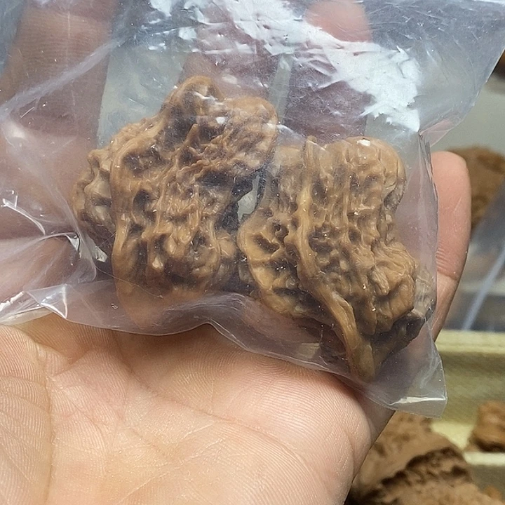 叮***达桃核吊坠帝王小鸟