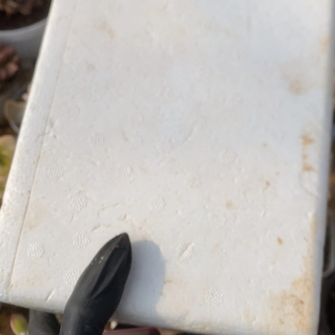 清**凝保温箱哈哈哈哈哈哈