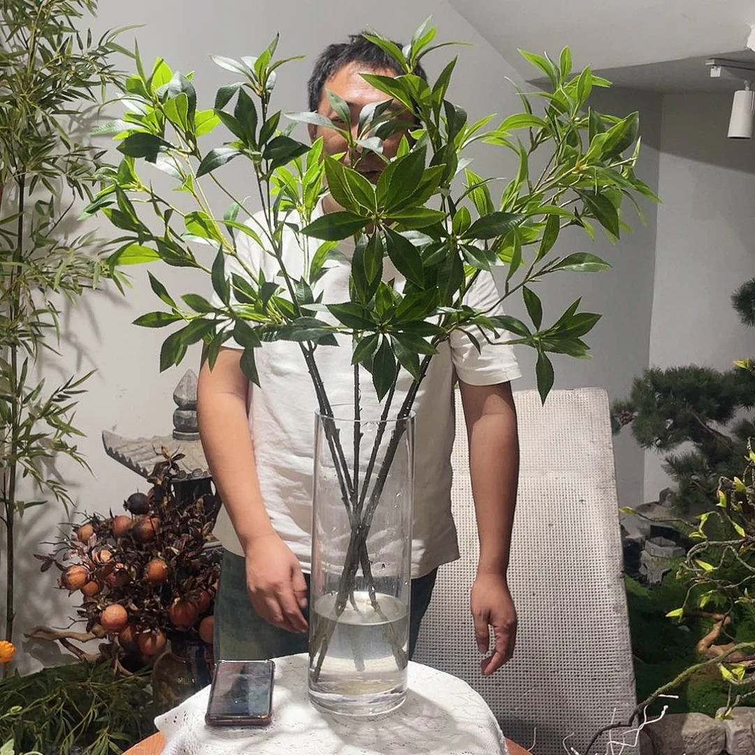 6支麻醉木叶子（不含花瓶）