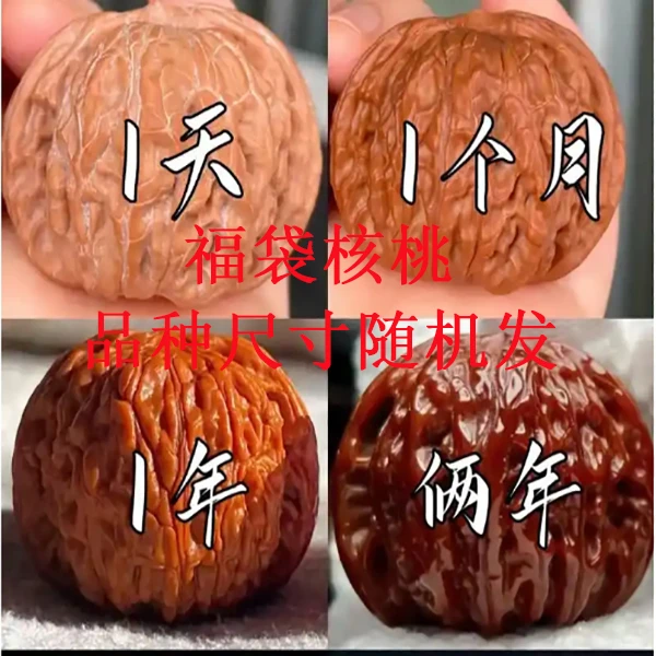 文玩核桃各种随机发......