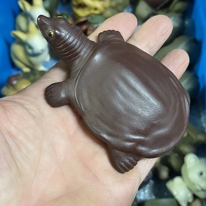 紫砂紫砂紫砂紫砂中