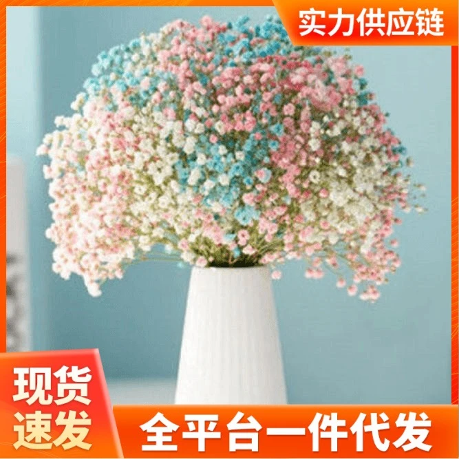 满天星干花花束小清新家摆设装饰客厅办公室摆件风干勿忘我