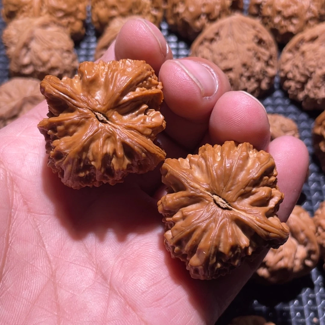 核桃39三角白维修尖不退换