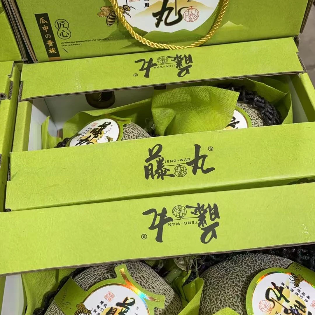 藤丸可口蜜甜瓜5斤新鲜海南省