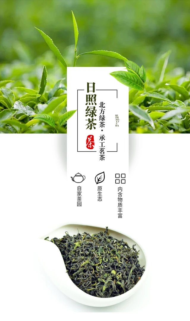 日照绿茶  新茶 浓香型 味道浓郁 耐冲泡 量大质优 茶农直销