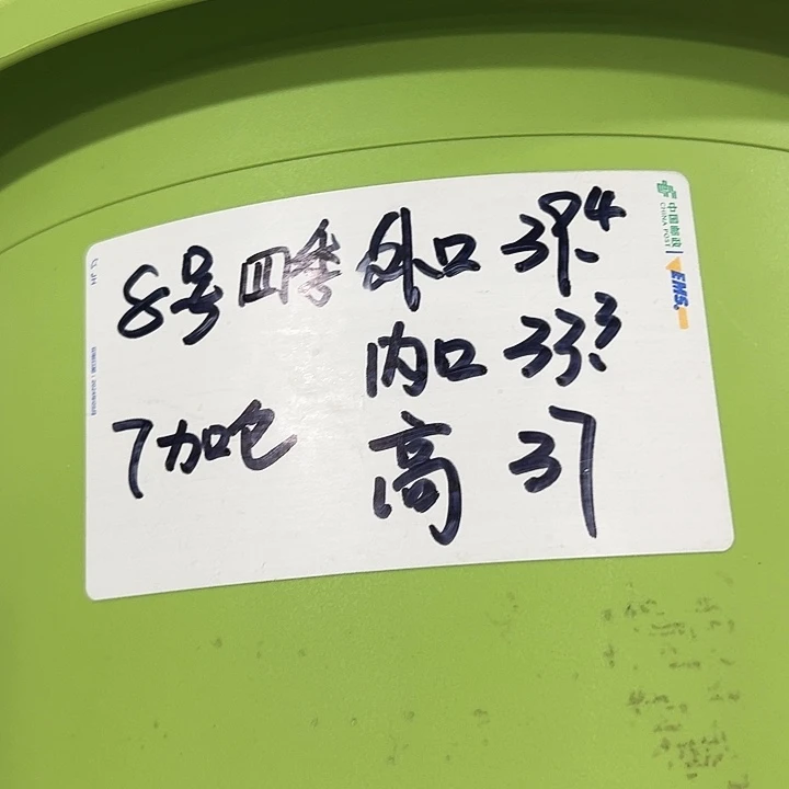 特价8号四季口39高37果绿无托5个