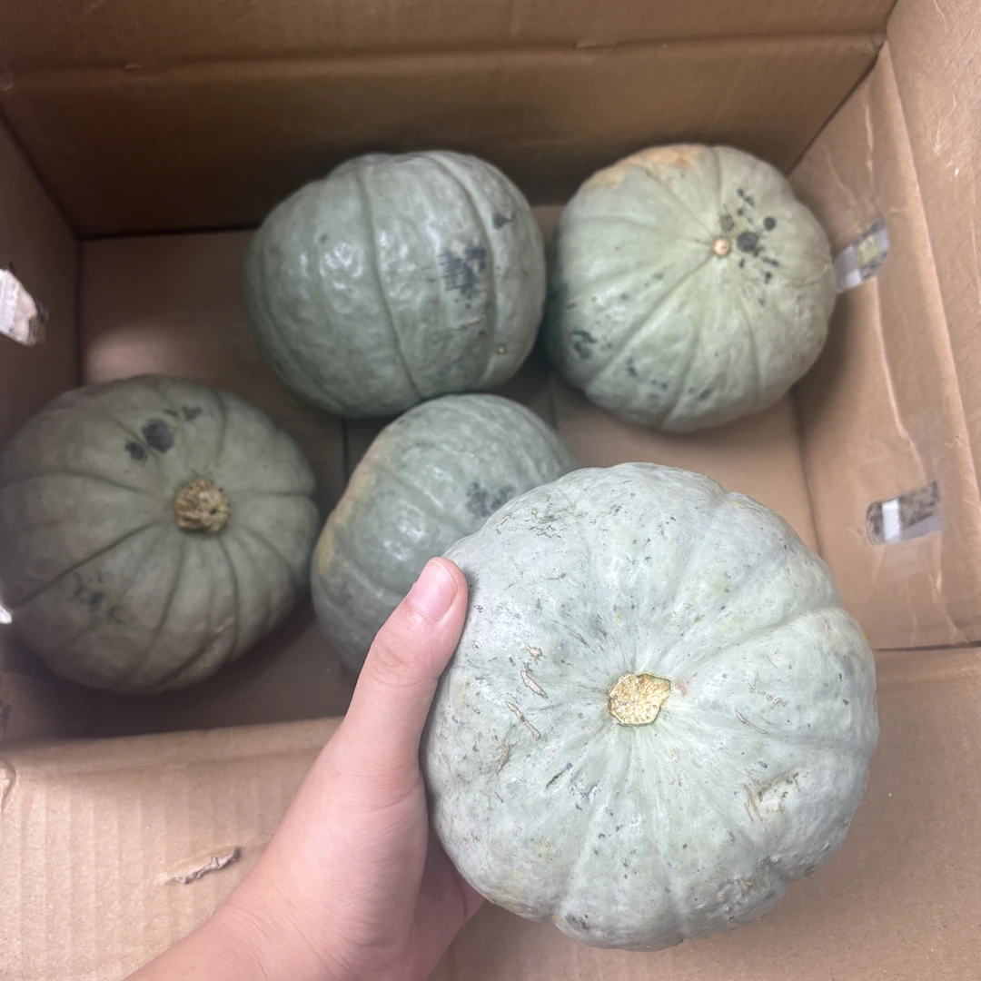 【新疆直发】新疆银贝贝南瓜粉面干香宝宝辅食代餐