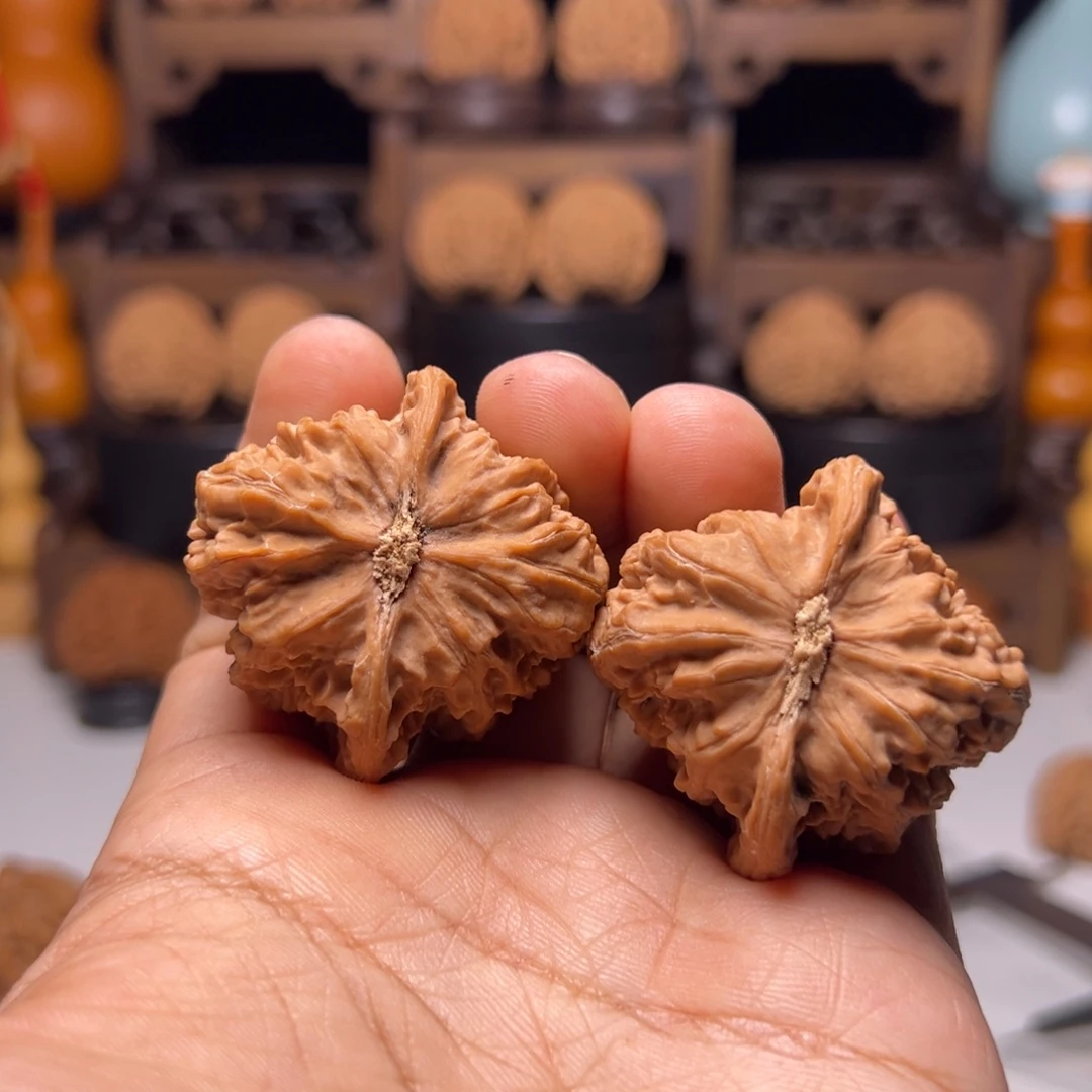 ****子文玩核桃把件42火焰马蹄