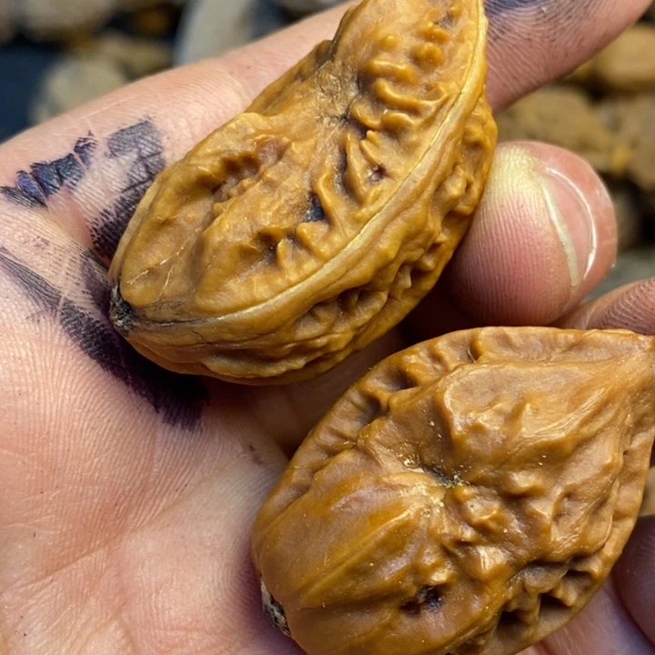 桃核吊坠娜姐真的134