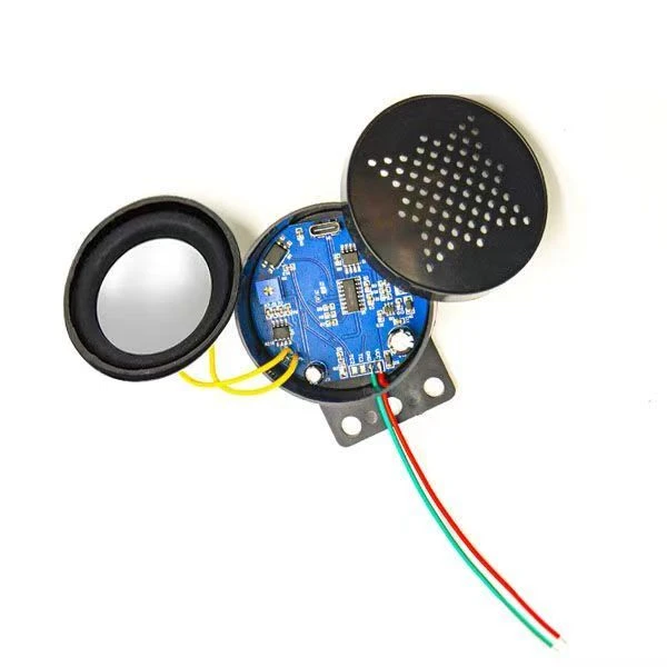 RC模型车改装配件搞笑语音喇叭大小姐驾到通通闪开支持语音定制