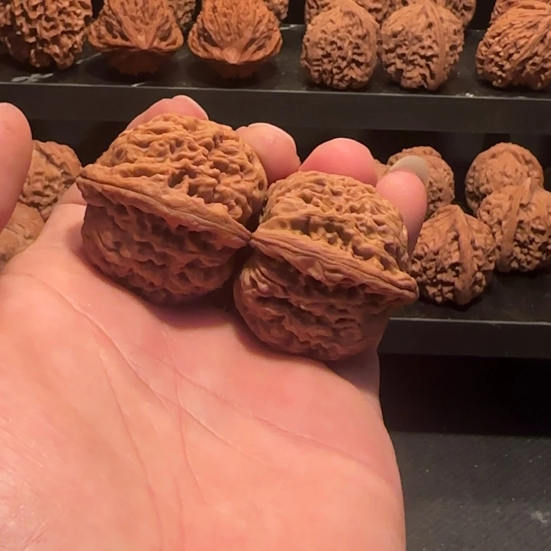 桃核把件涿鹿南疆石40