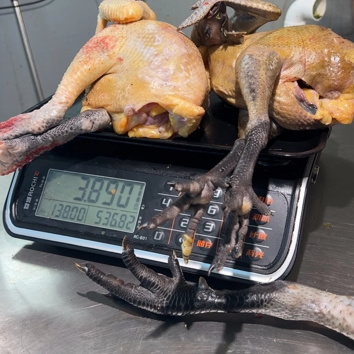 一号土鸡食用农产品中国大陆A****?