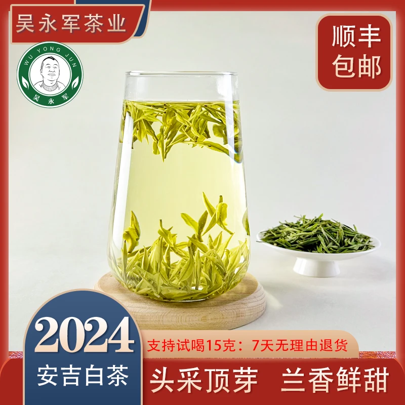 ~2024年春茶新茶780安吉白茶