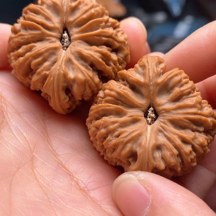 文玩核桃把件拉丝蚂蚁38尺