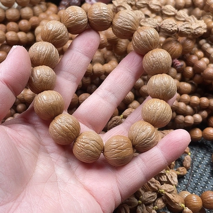 手串草珠菩提1.8同尺盆