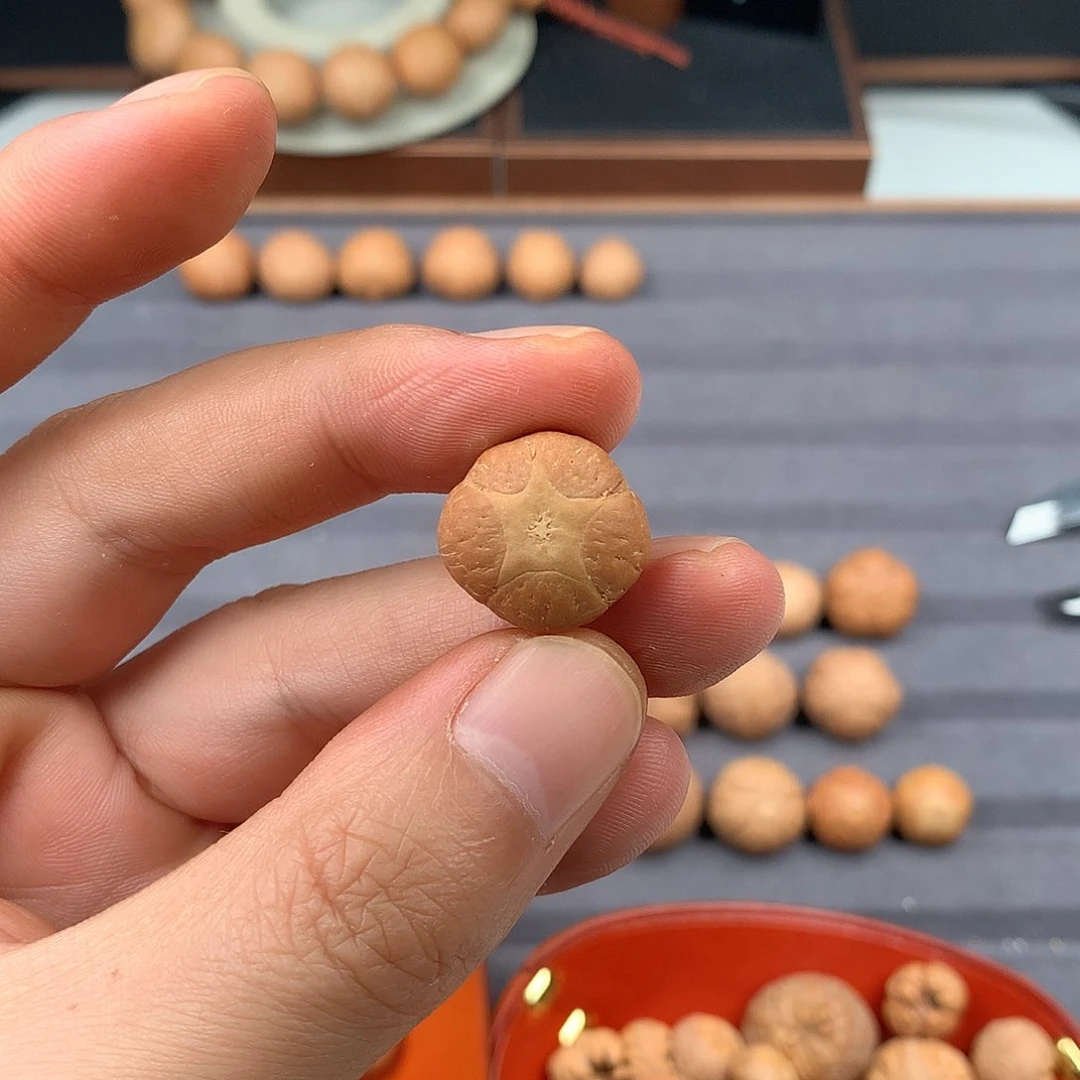 手串凤眼菩提18+五星，非质量问题开孔不退