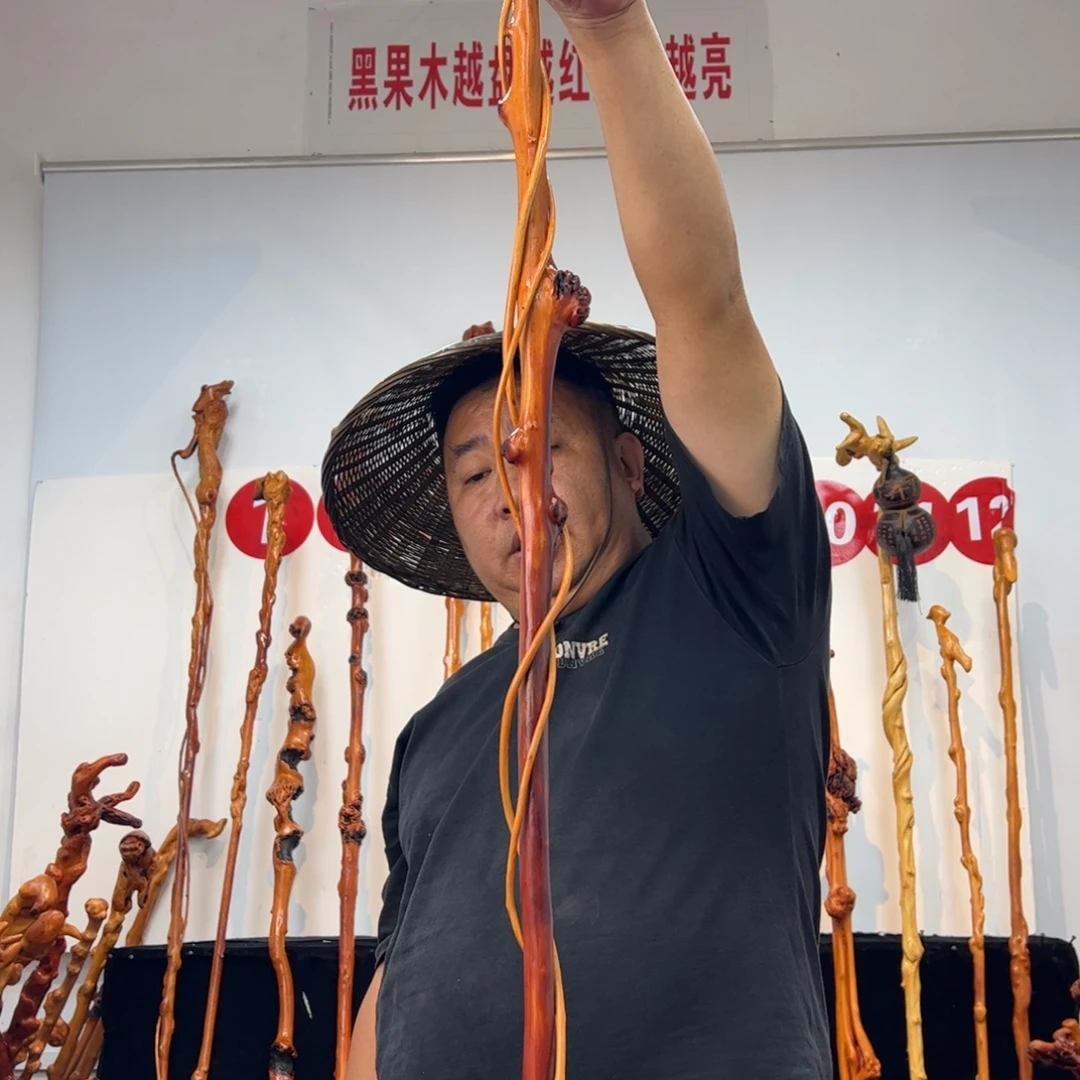 千***菊其他黑果木黑果木794