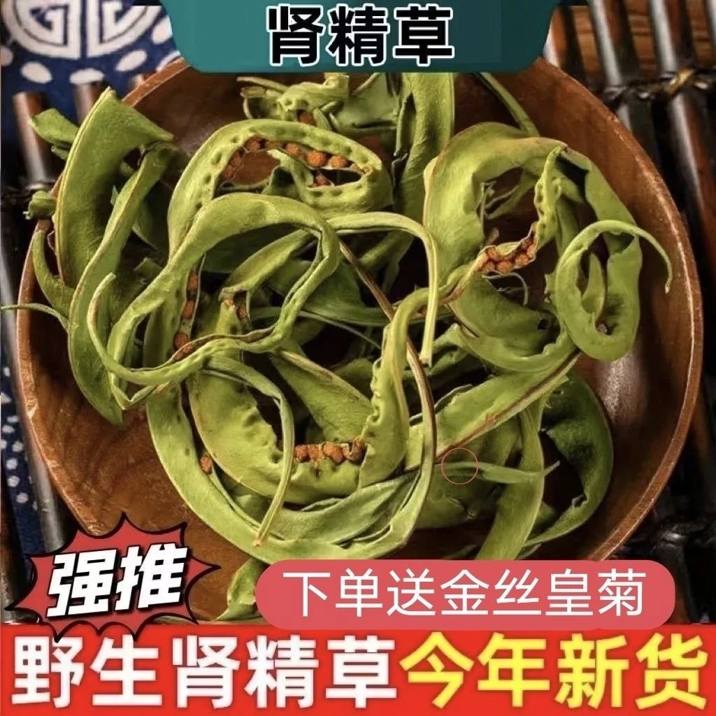 化石草云南野生化石草猫须草肾草肾精草腰只草正品肾茶 新鲜采摘