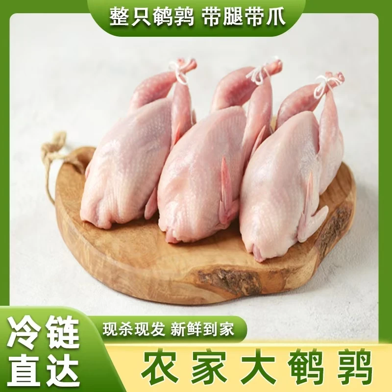 生鲜鹌鹑肉骨小肉多单只150g/只*20 净膛 适合炖汤红烧油炸