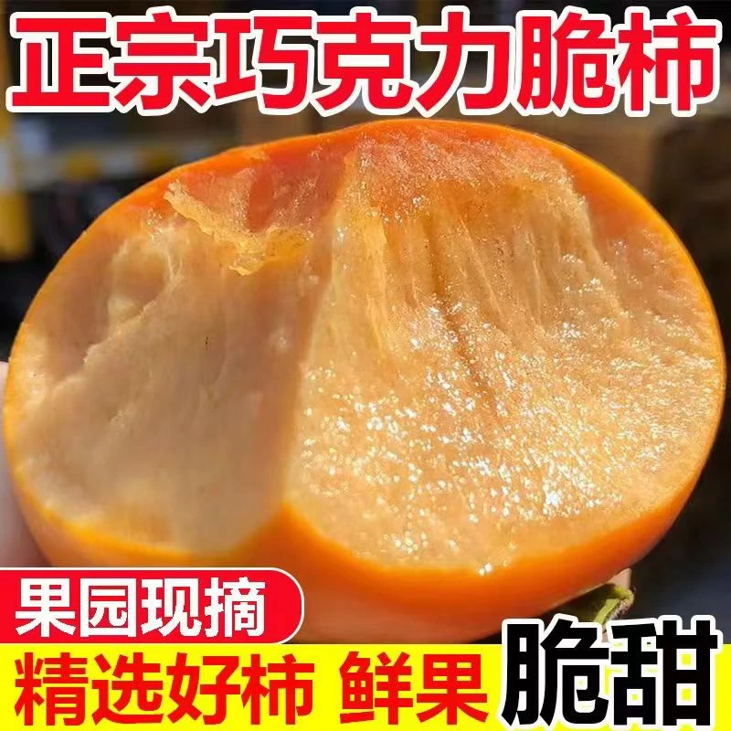 山西正宗巧克力脆柿新鲜现摘甜脆硬柿当季水果