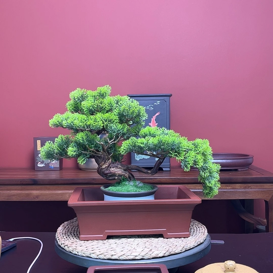 紫砂花盆9**8红将破马槽