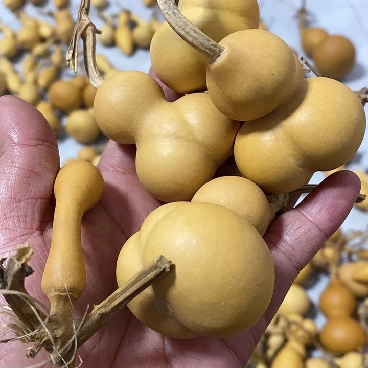 葫芦的颜色真漂亮