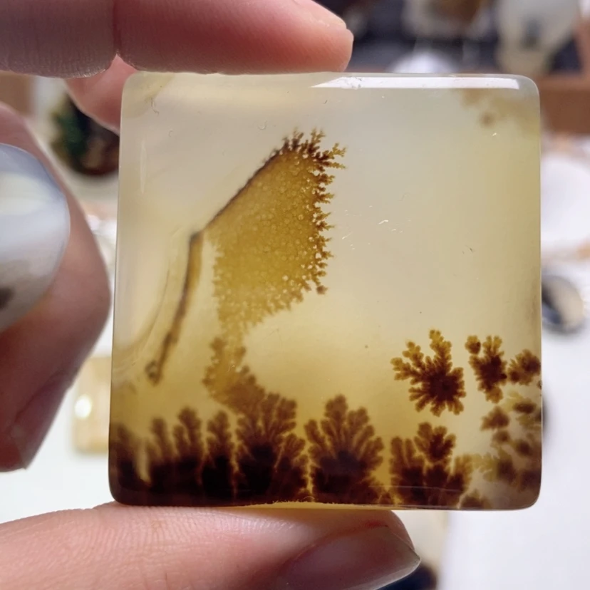 【闪购商品】玛瑙/玉髓颈饰未镶嵌