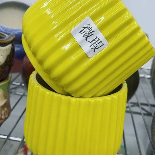 多肉绿植陶瓷花盆9.9包邮，有空