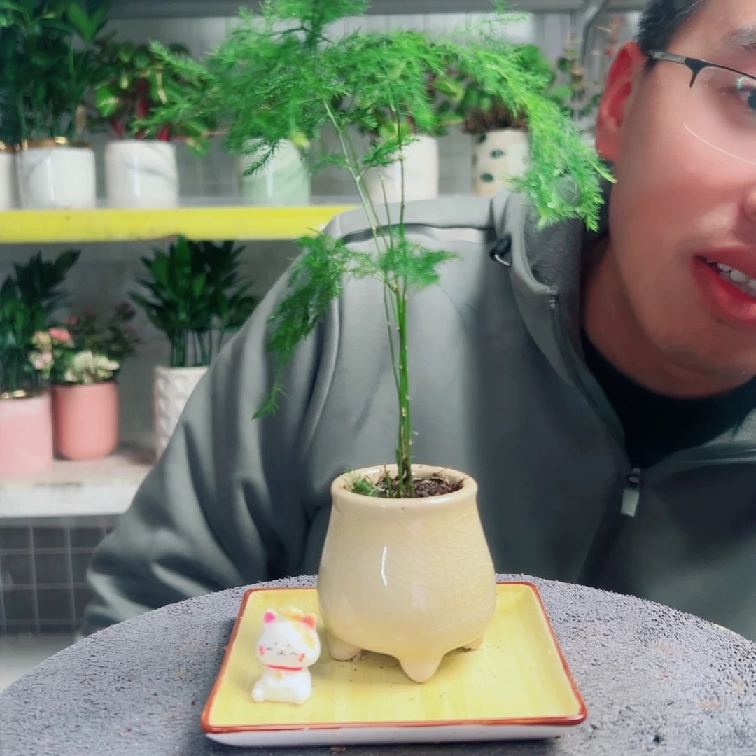 星***灿无花朵28