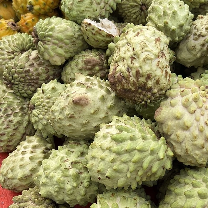 中国大陆释迦果5斤