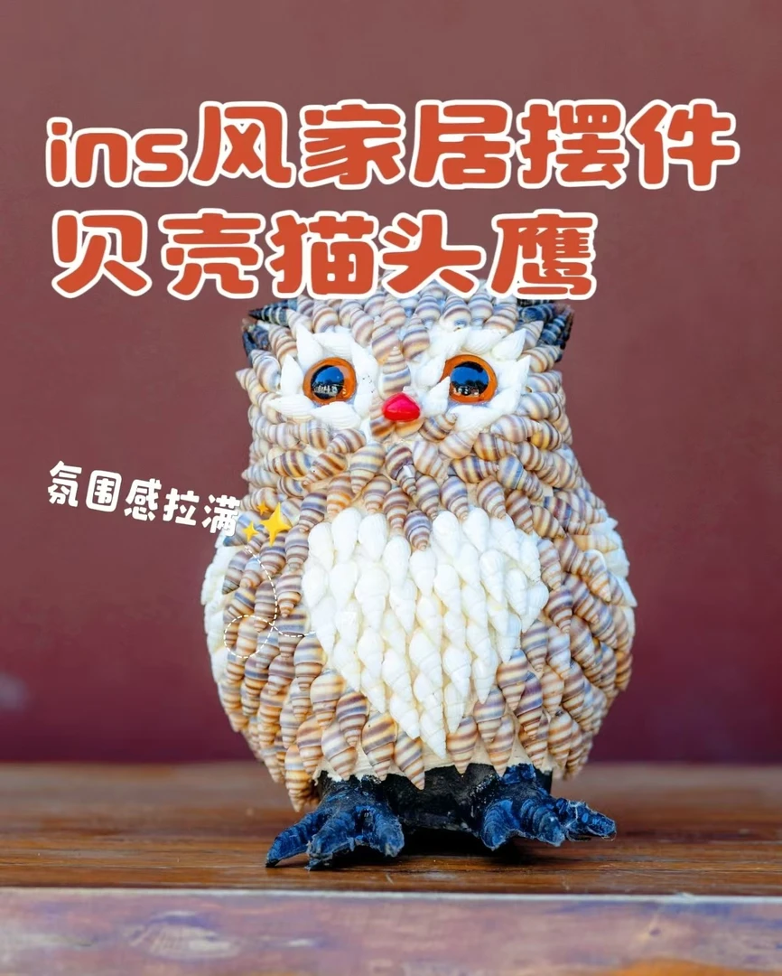 创意贝壳摆件工艺品海洋系猫头鹰驾到！手工限定，手慢无，纯手工