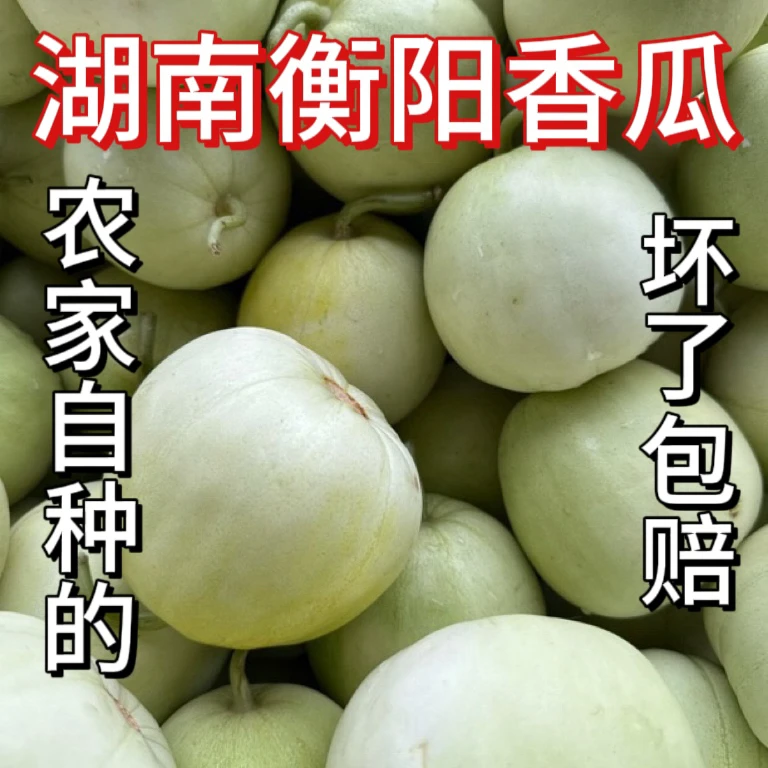 湖南衡阳正宗香瓜5斤装农家自种甜瓜新鲜美味