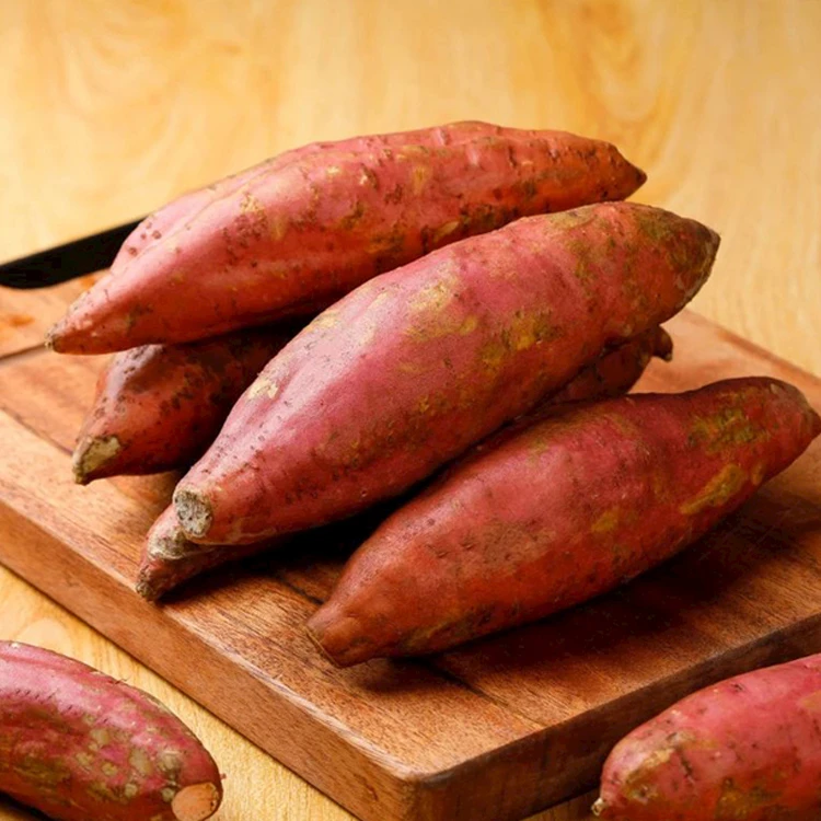 ［粤农臻品］广东湛江西瓜红蜜薯4.8斤软糯香甜产地直发自然成熟