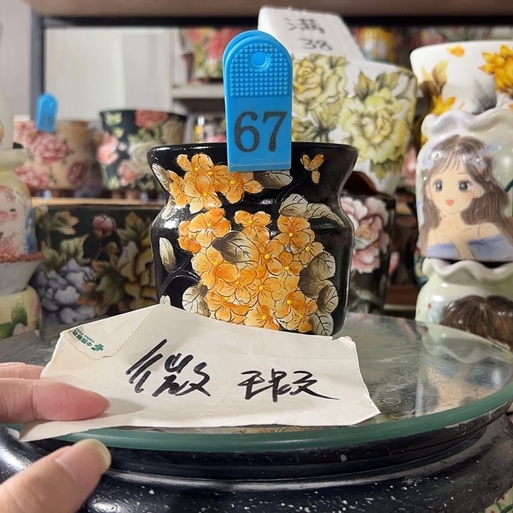 满38包邮 景德镇手绘花盆
