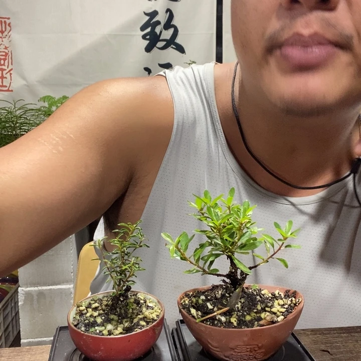 我****亮退款拉黑一物一拍302