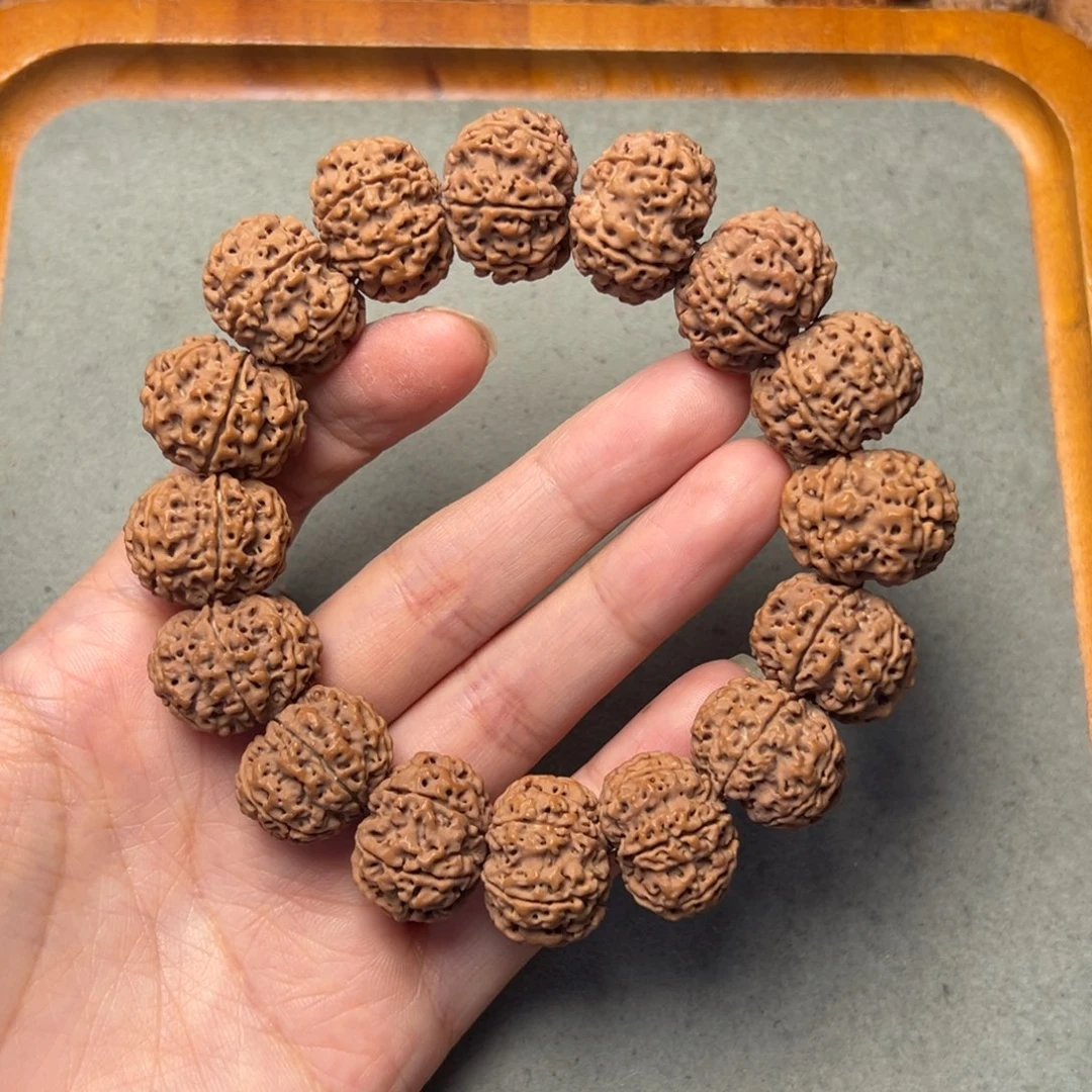 菩提18号金刚菩提原生态六瓣21